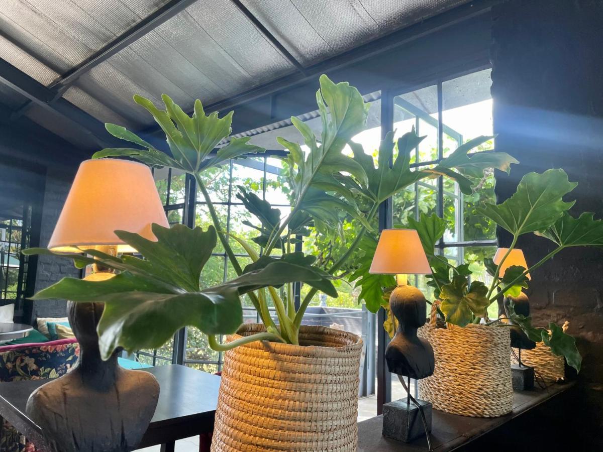 Le Reve Boutique Hotel Tulbagh Buitenkant foto