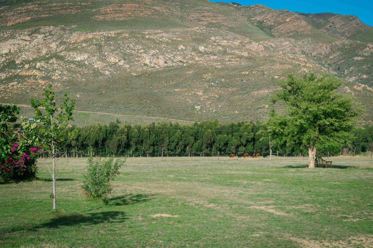 Le Reve Boutique Hotel Tulbagh Buitenkant foto