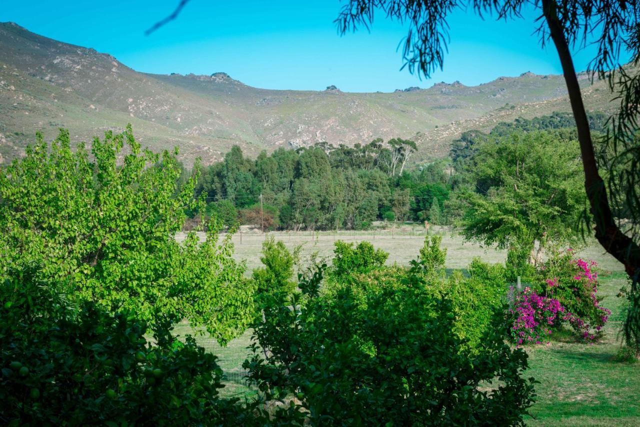 Le Reve Boutique Hotel Tulbagh Buitenkant foto